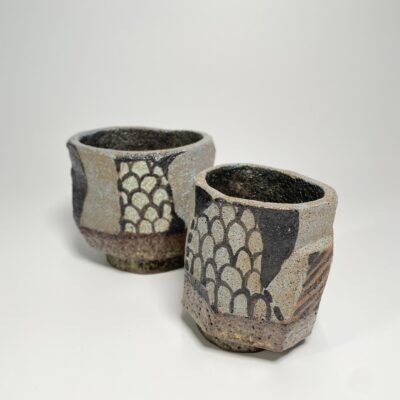 Where Raw Earth Meets Fire: The Volcanic Sculpture Teacup