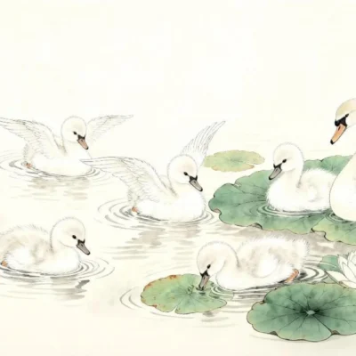 Te02-4 Jingdezhen Hand-Painted Double Swan and Lotus Pond Porcelain Teapot