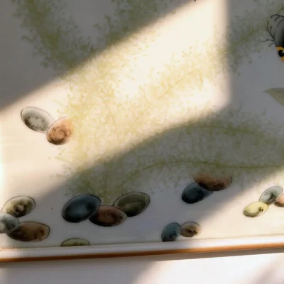 Year After Year of Abundance