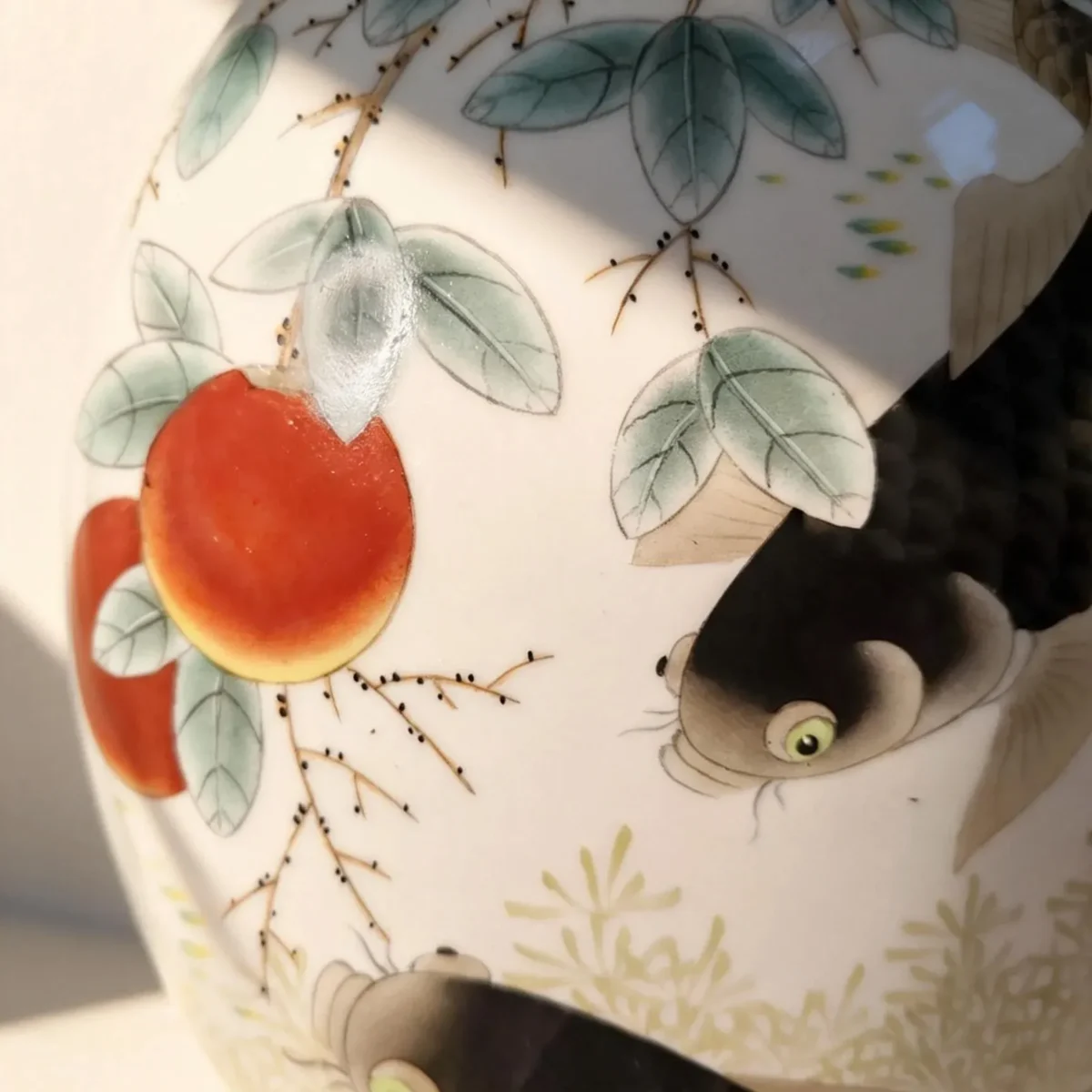 Pomegranate Bottle Carp