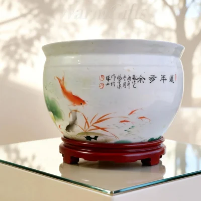Lotus Pond Carp Fishbowl