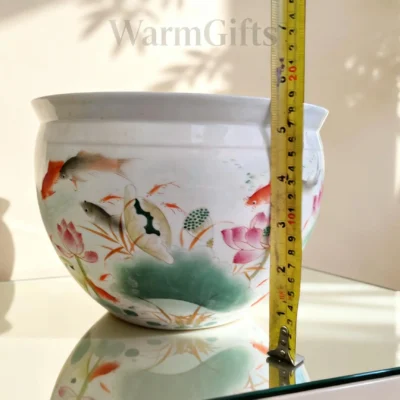 Lotus Pond Carp Fishbowl
