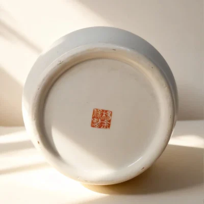 Irregular Porcelain Bottle Koi