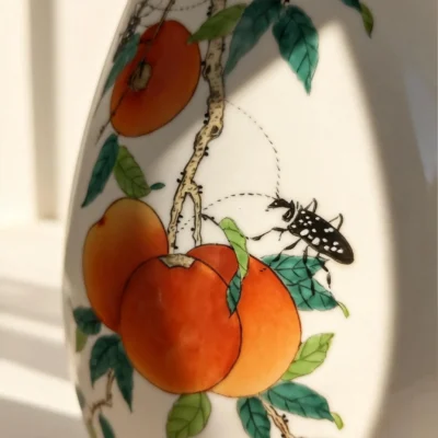 Gallbladder Bottle Persimmons Implying Wishes Fulfilled
