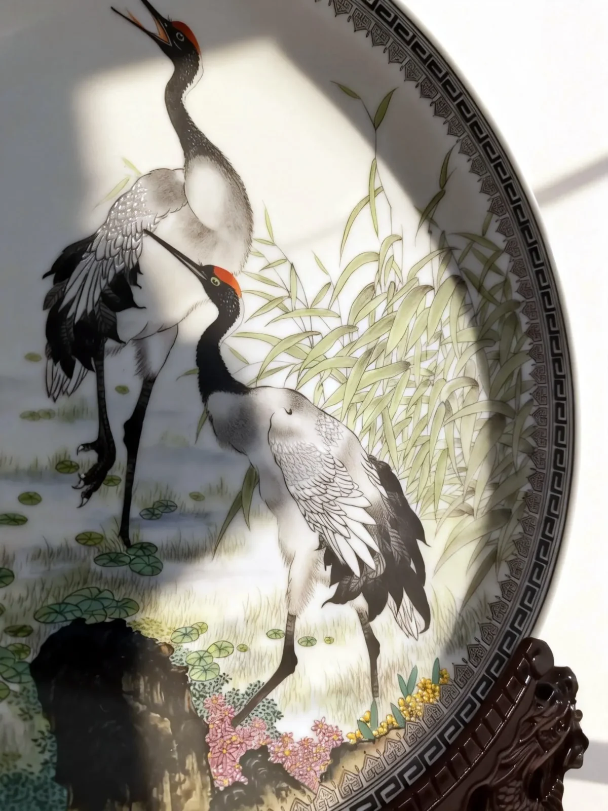 Wetland with red-crowned cranes and reeds