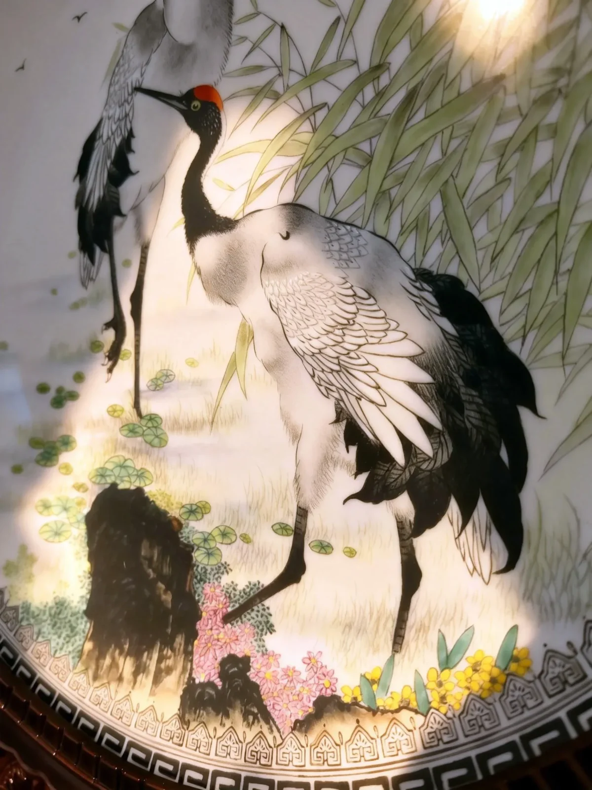 Wetland with red-crowned cranes and reeds